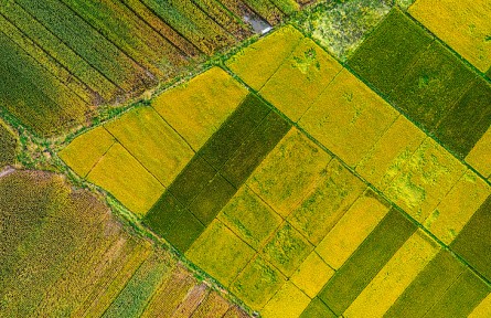 遼寧：守住“兩條底線” 推動(dòng)三農(nóng)“三增”