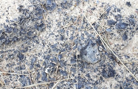 科技名詞|粉煤灰 fly ash