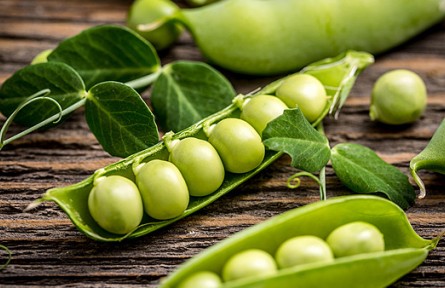 痛風(fēng)、高尿酸人群不能吃豌豆？