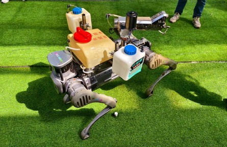 當(dāng)“科技感”碰撞“文化味”——在壽光菜博會(huì)感受現(xiàn)代農(nóng)業(yè)“新花樣”