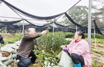 全國崗位學(xué)雷鋒標(biāo)兵鄧蔭偉：點樹成金的“泥腿教授”