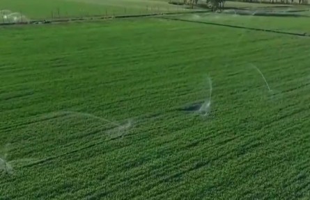 【在希望的田野上】各地高效有序推進春耕春管