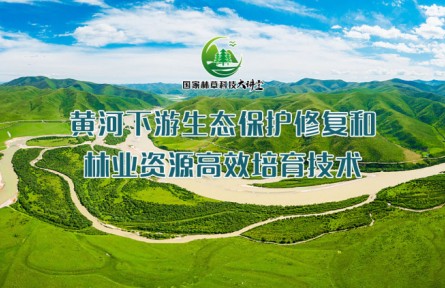 黃河下游生態(tài)保護(hù)修復(fù)和林業(yè)資源高效栽培技術(shù)（系列講座視頻）