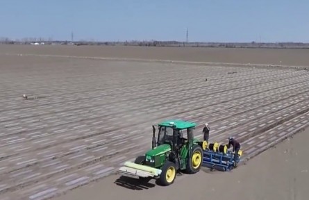 2025年一季度農(nóng)機市場景氣指數(shù)上揚利好