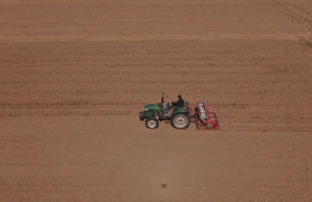 甘肅景泰2.3萬畝改良土地迎來春耕首秀