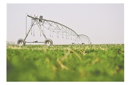 新疆阿克蘇地區(qū)：沙漠披“綠圍脖”，發(fā)展添“金鑰匙”