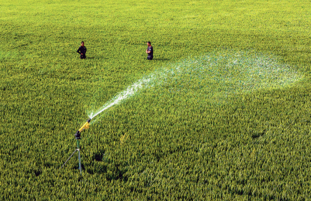 河南南陽(yáng)：多措并舉抗旱保豐收