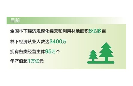 發(fā)展林下經濟首次寫入《政府工作報告》 我國林下經濟年產值超1萬億元