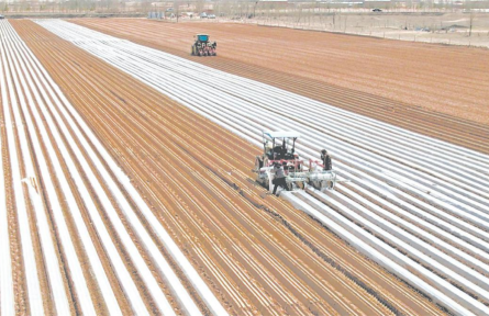 陜西定邊：春耕多了“新農(nóng)具” 科技種田成主角