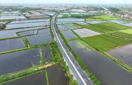 湖北江陵：小龍蝦“鏈”出大產(chǎn)業(yè)！繪就農(nóng)業(yè)發(fā)展新圖景