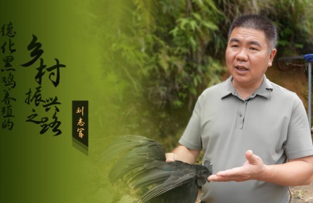 劉志軍：德化黑雞養(yǎng)殖的鄉(xiāng)村振興之路