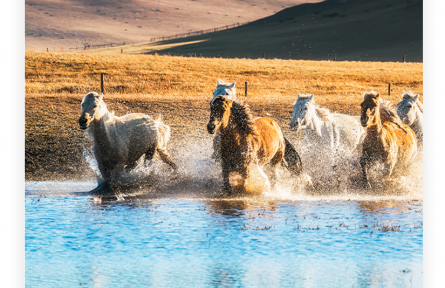 名言|曾子：人非人不濟(jì)，馬非馬不走，土非土不高，水非水不流