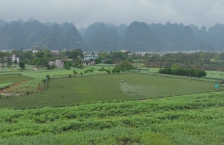 貴州：田間地頭耕種忙 科技賦能保糧安
