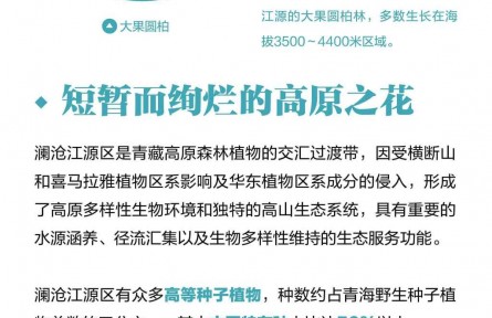 走近三江源|認識三江源：高原峽谷綻生機（下）