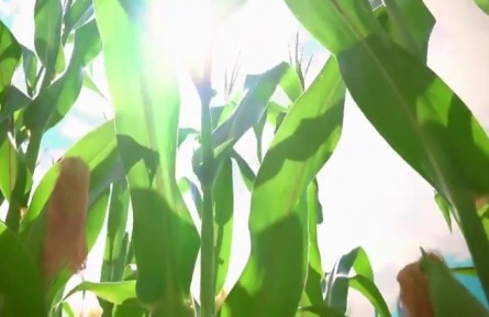 黑龍江：“金”非昔比的千億級(jí)跨越