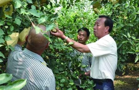 楊雙牛：40年深耕，石頭縫里長出億元產(chǎn)業(yè)