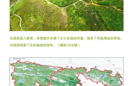 走近三江源|呵護三江源：高原生物的寄托——草