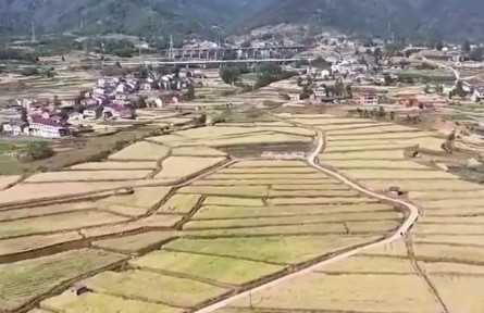 【在希望的田野上·三夏時(shí)節(jié)】各地?fù)屪ハ氖障姆N 夯實(shí)糧食豐收基礎(chǔ)