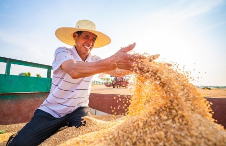 智能農業(yè)“慧”豐收