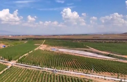 寧夏枸杞產業(yè)實現(xiàn)全鏈條科技升級