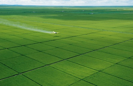 黑龍江：從“搶農時”到“慧種田”