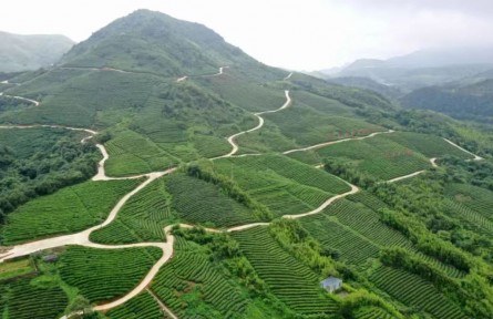 貴州黔南州：錨定農業(yè)支撐產業(yè) 進一步夯實鄉(xiāng)村振興基礎