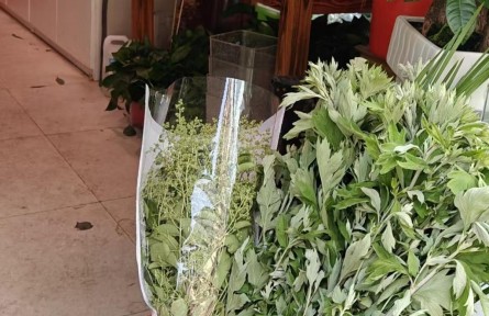身價(jià)大漲！艾草花束成年輕人的端午“新寵”