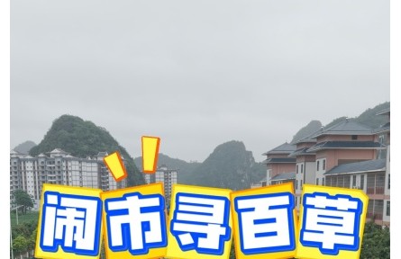 鬧市尋百草 靖西藥市全體驗(yàn)