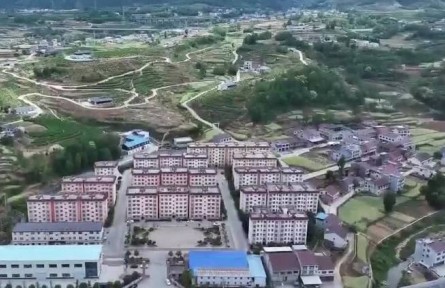 陜西安康：新模式助推蠶桑產(chǎn)業(yè)提質(zhì)增效