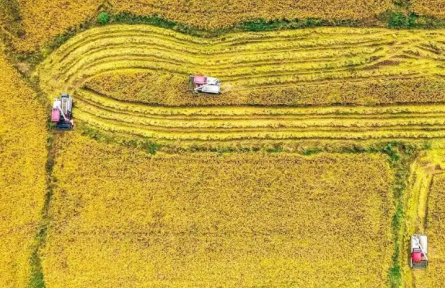 湖北：6.5萬(wàn)臺(tái)農(nóng)機(jī)共享北斗服務(wù)平臺(tái) 農(nóng)機(jī)手像網(wǎng)約車(chē)司機(jī)一樣接單