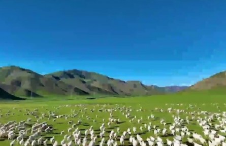 青海：科技賦能綠色發(fā)展 實(shí)干擔(dān)當(dāng)書(shū)寫(xiě)“三農(nóng)”新答卷