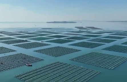 遼寧：建設(shè)海洋牧場 充實“藍(lán)色糧倉”