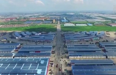 菜籃子里的“壽光力量”：一座縣城的蔬菜產(chǎn)業(yè)化之路