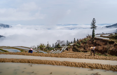 橫向生態(tài)保護(hù)補(bǔ)償機(jī)制 cross-basin ecological compensation mechanism