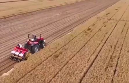 【在希望的田野上·三夏時(shí)節(jié)】全國(guó)夏糧小麥?zhǔn)斋@進(jìn)度過(guò)半