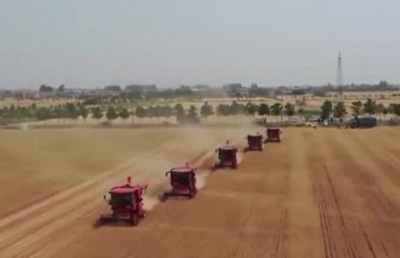 【在希望的田野上·三夏時節(jié)】智慧氣象“搶”出麥收加速度