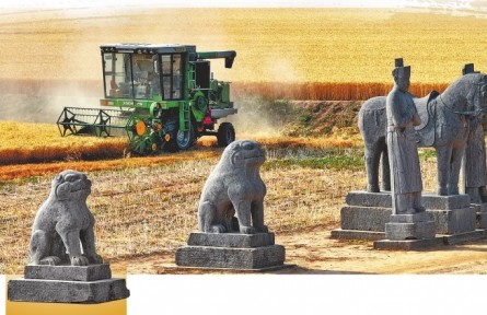 河南：麥田之上