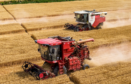 沉甸甸的收獲——2025年夏季糧油收獲一線觀察