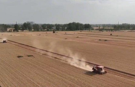 “云端”上的農(nóng)機(jī) 助力麥?zhǔn)仗崴偬豳|(zhì)