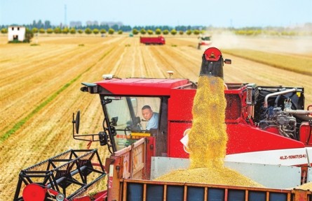 河南麥?zhǔn)栈窘Y(jié)束 算算今年“三夏”賬