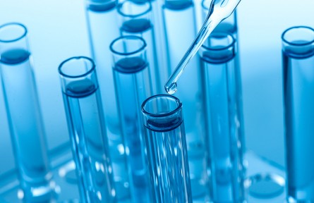 科技名詞|纖膠凝蛋白 ficolin