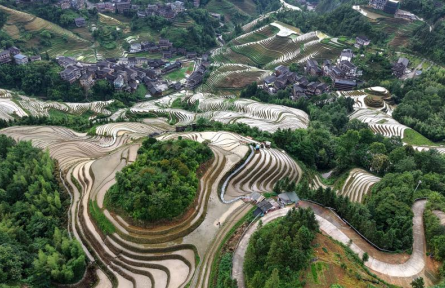 夏日梯田勞作忙