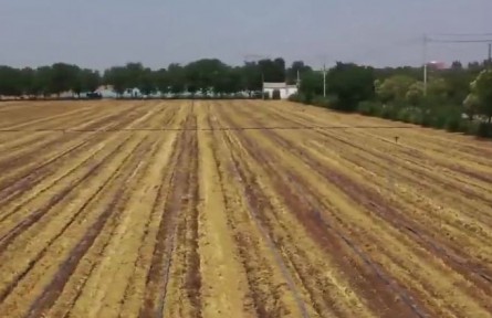 陜西：科技賦能節(jié)水灌溉 有序推進夏播生產(chǎn)