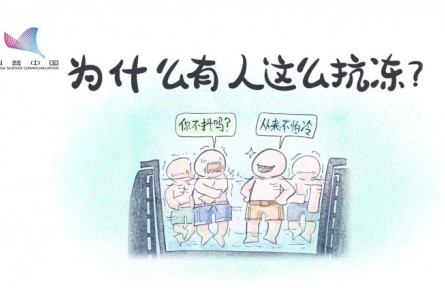 真的有人更不怕冷嗎？原來(lái)是骨骼肌中缺少一種蛋白