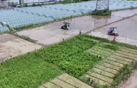 【在希望的田野上·三夏時節(jié)】全國已夏播糧食2.7億畝 進(jìn)度過半