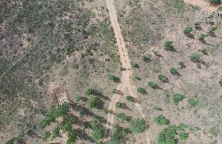 25年青春接力 他們把論文“種”在荒漠里