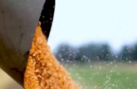 甘肅：提質(zhì)增效 全力建設(shè)全國現(xiàn)代寒旱特色農(nóng)業(yè)先行基地