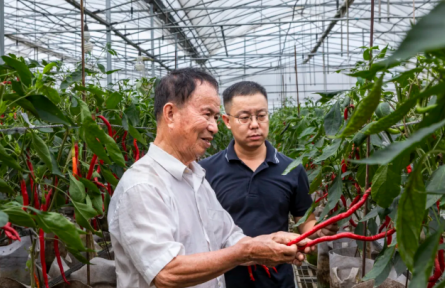 “新農(nóng)人”楊劍鋒：“火辣”事業(yè)獨(dú)特“鋒”味