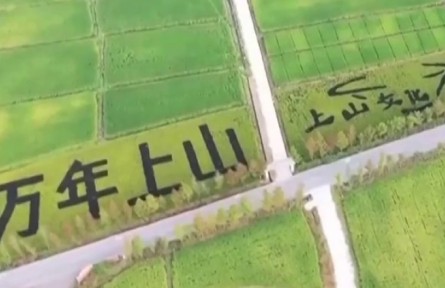 【文化中國行】萬年上山 世界稻源