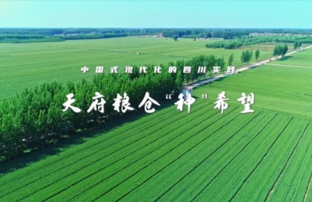 四川：天府糧倉“種”希望